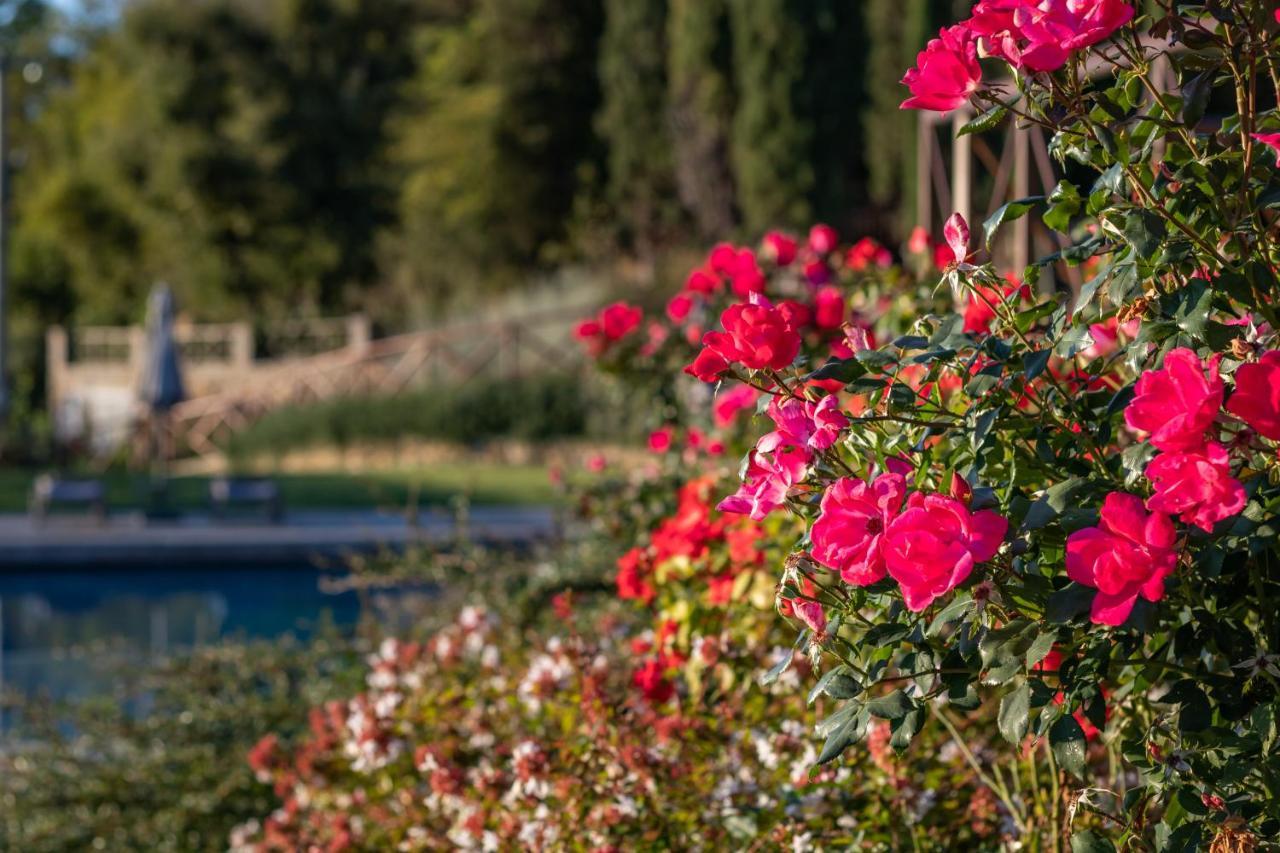 Chimera Tuscany Resort Arezzo Exterior photo